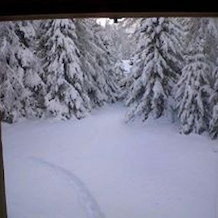 Chalet Gulas - La Punt-Chamues-Ch Luaran gambar