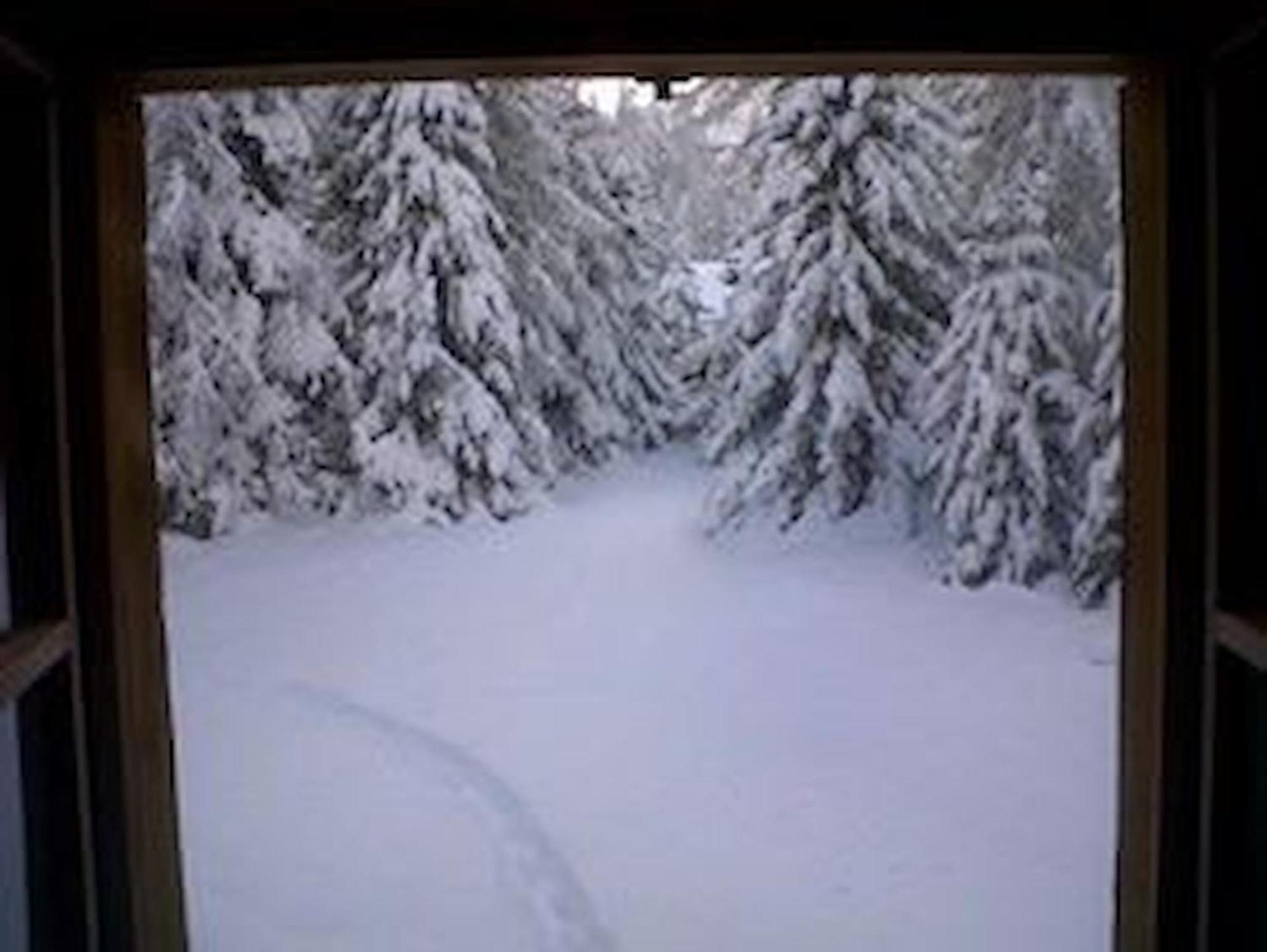 Chalet Gulas - La Punt-Chamues-Ch Luaran gambar