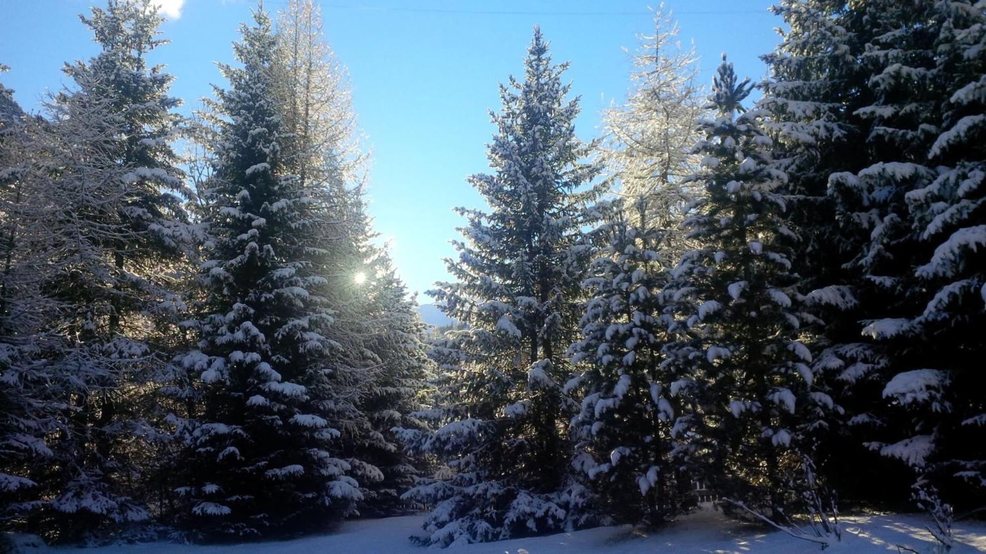 Chalet Gulas - La Punt-Chamues-Ch Luaran gambar