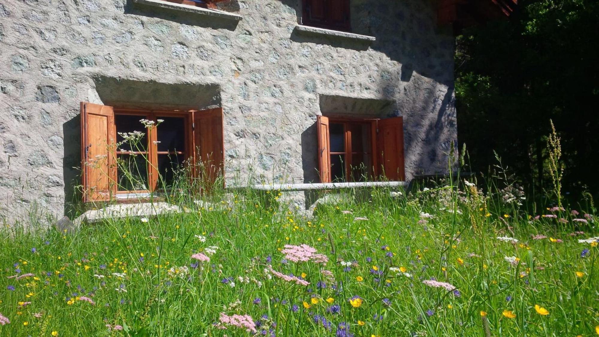 Chalet Gulas - La Punt-Chamues-Ch Luaran gambar
